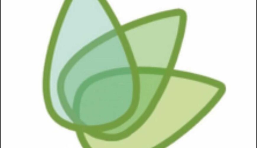 خدمات ساختمان BC GREEN SERVICES