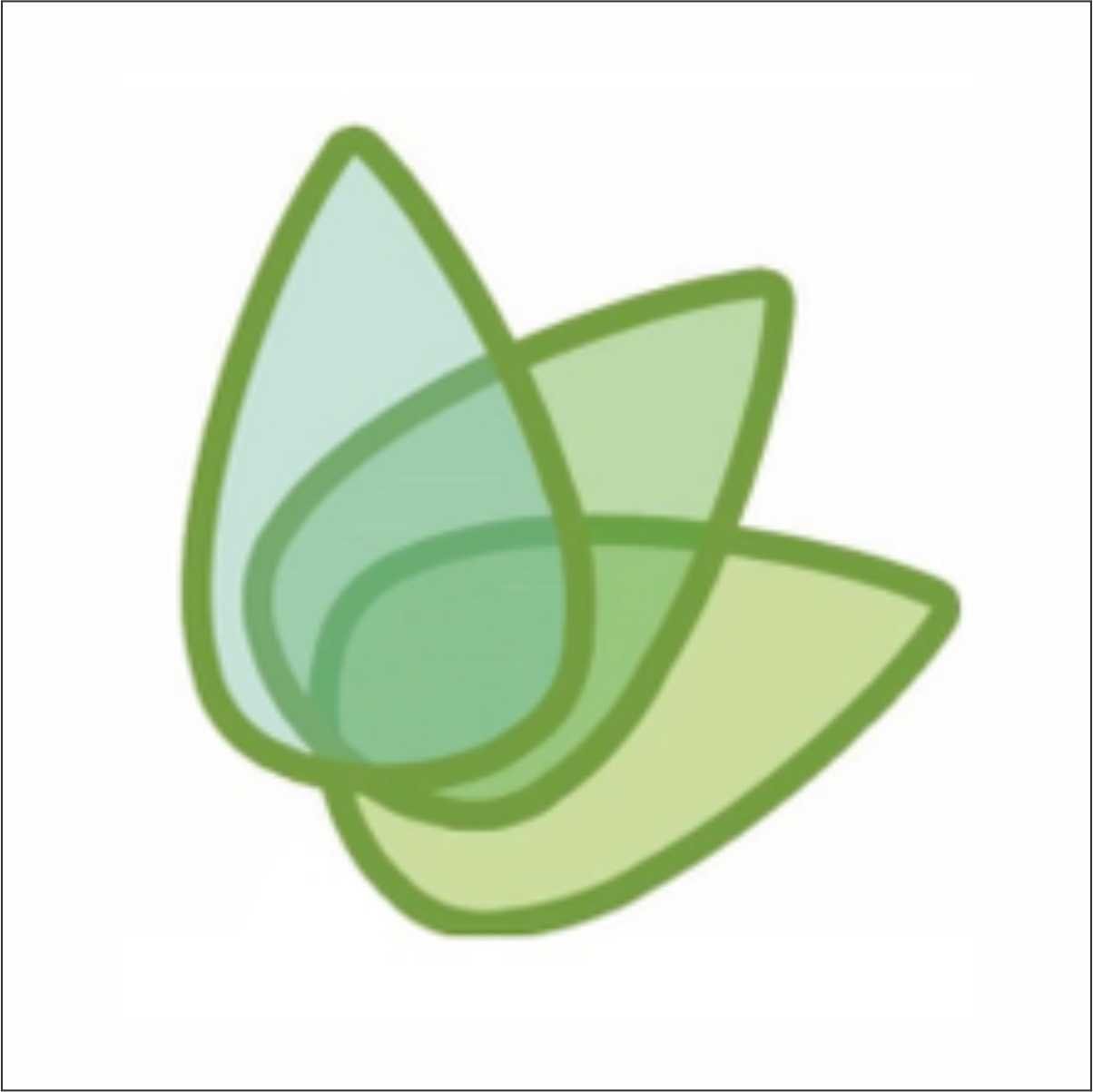 خدمات ساختمان BC GREEN SERVICES