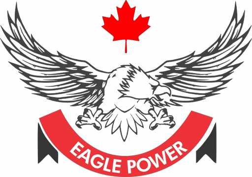 خدمات برق EAGLE